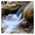 brook