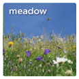 meadow